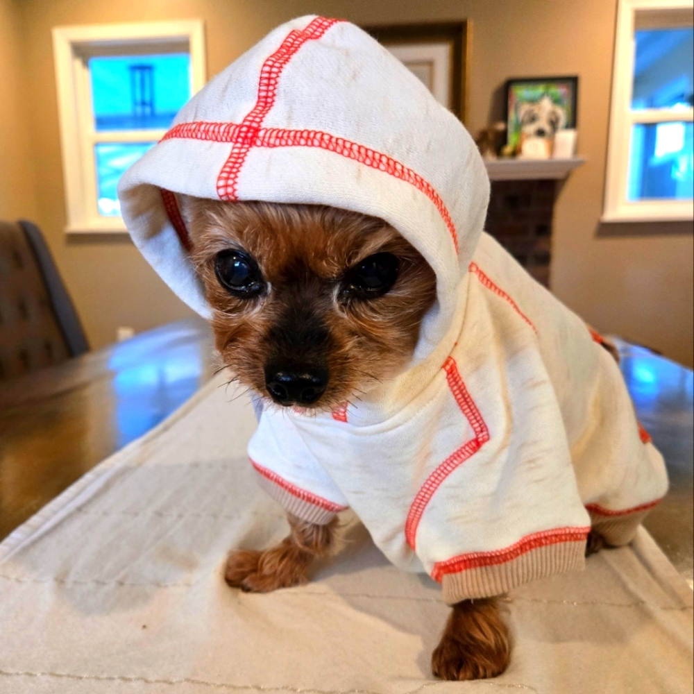 Fleece Lined Dog Hoodie S